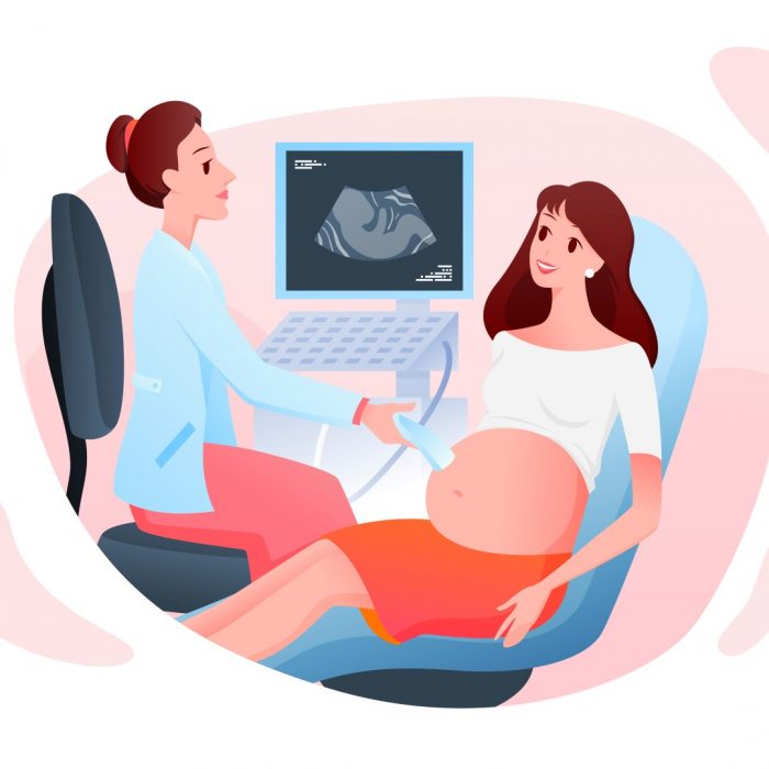 Medicine pregnancy consultation vector illustration. Cartoon doctor examing pregnant woman patient with ultrasound scanner in hospital medical office or ultrasonography laboratory isolated on white